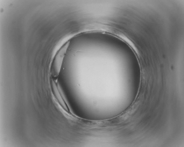 X0000075381485200609291538