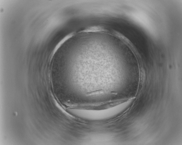 X0000075381487200609291538