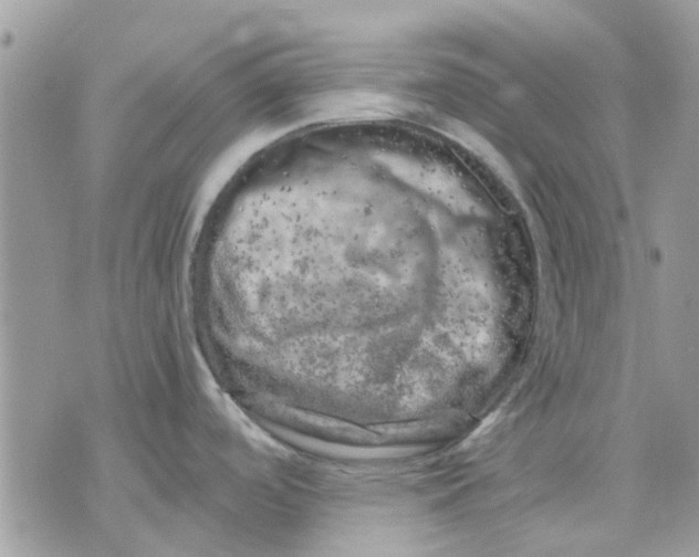 X0000075381488200609291538