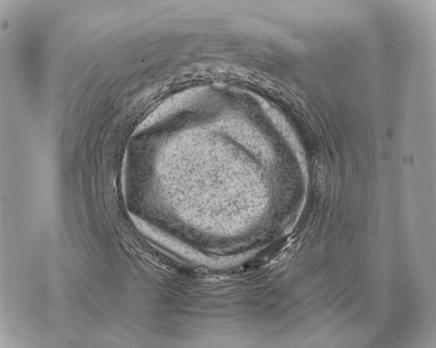 X0000075381489200609291538