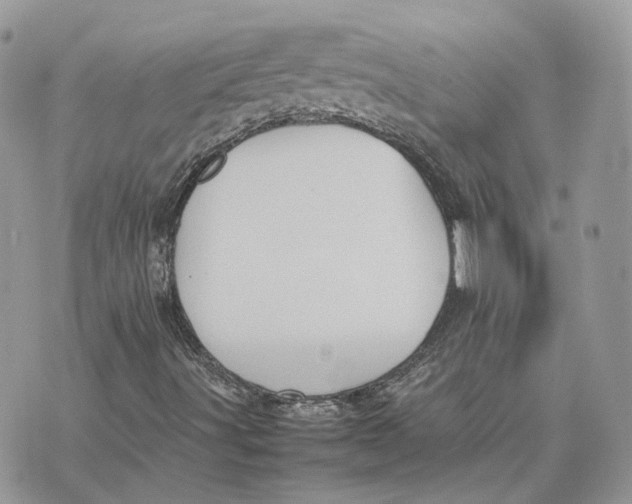 X0000075381491200609291538