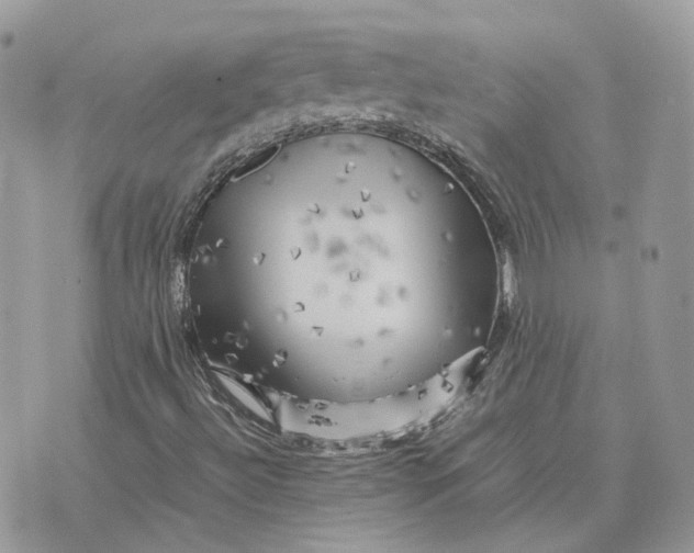 X0000075381492200609291538