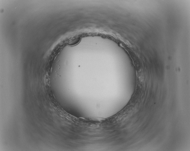 X0000075381495200609291538