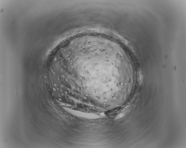 X0000075381496200609291538