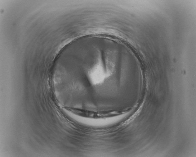 X0000075381497200609291538