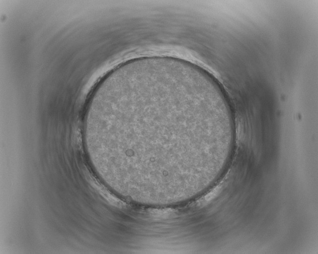 X0000075381498200609291538