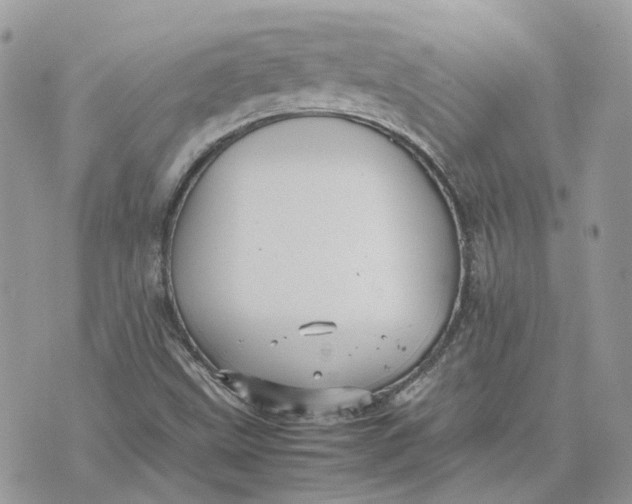 X0000075381499200609291538