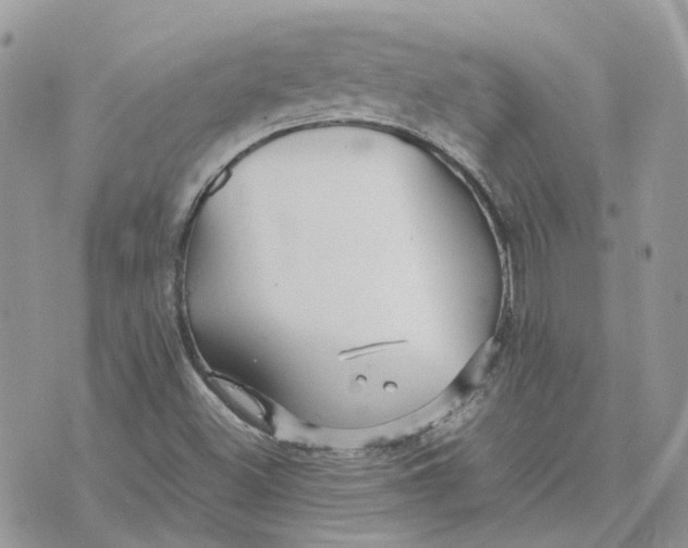 X0000075381500200609291538