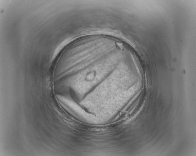 X0000075381501200609291538