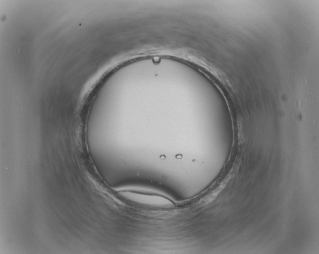 X0000075381502200609291538