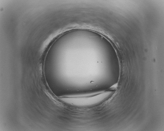 X0000075381503200609291538