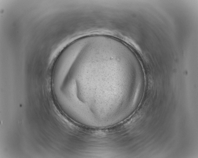 X0000075381504200609291538