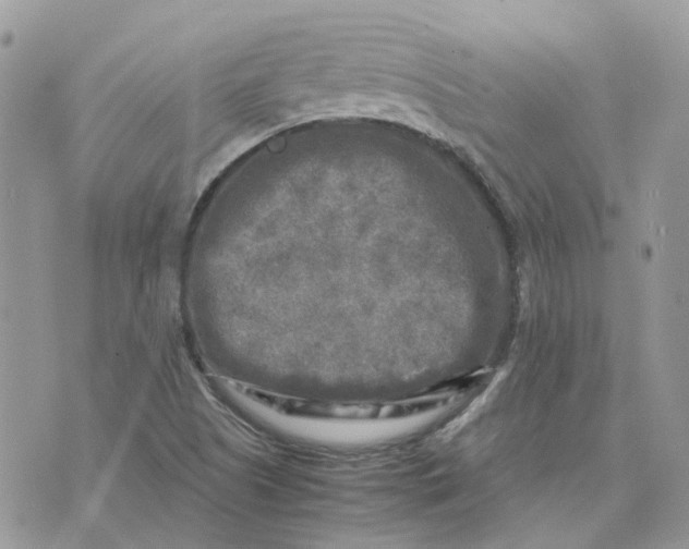 X0000075381505200609291538