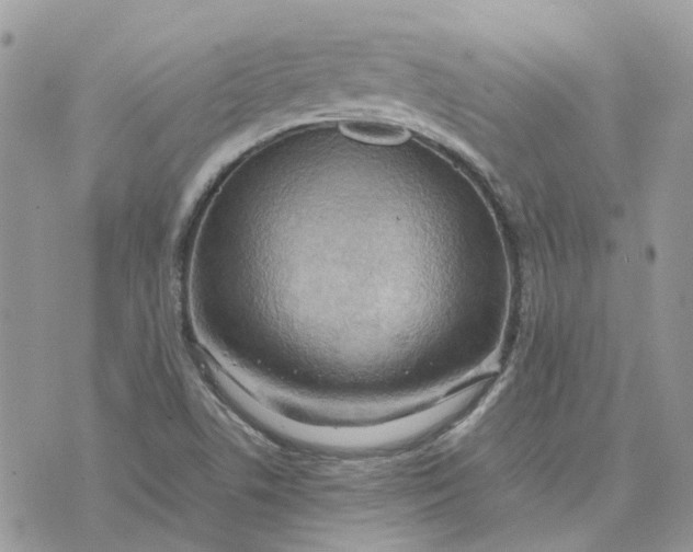 X0000075381506200609291538