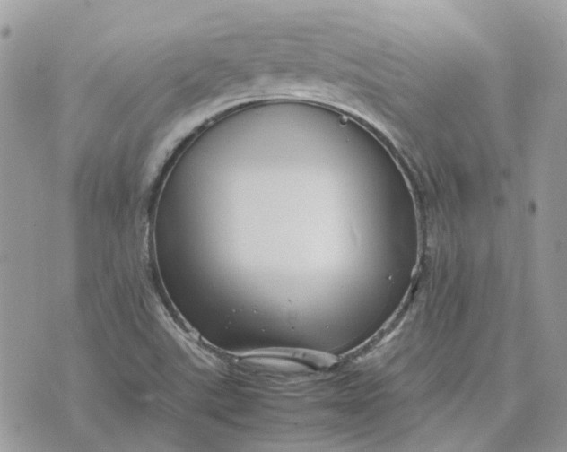 X0000075381507200609291538