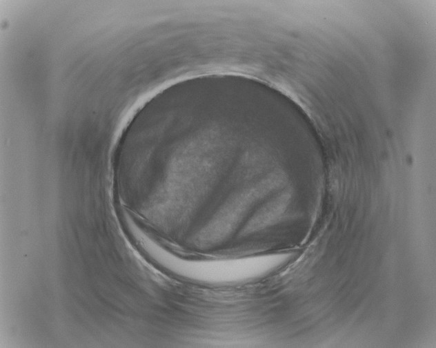 X0000075381508200609291538