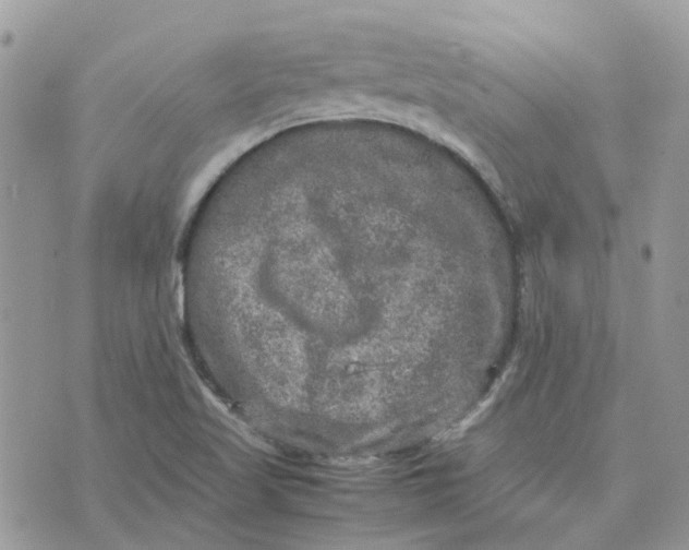 X0000075381509200609291538