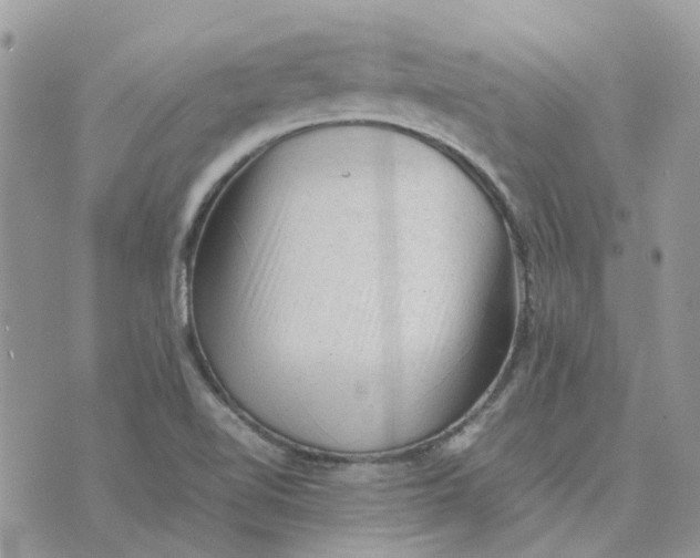 X0000075381510200609291538