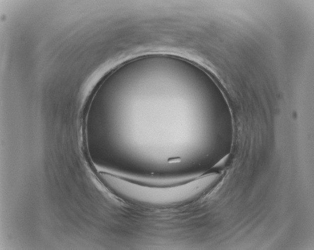 X0000075381511200609291538