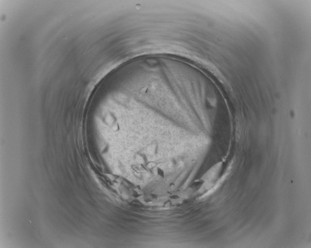 X0000075381513200609291538