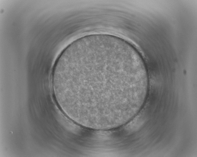 X0000075381514200609291538