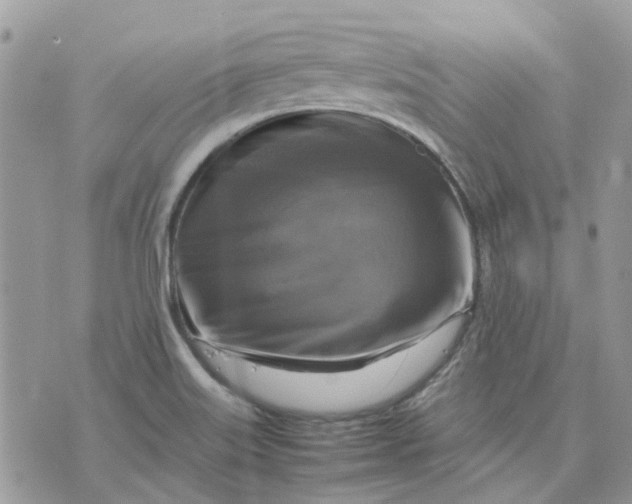 X0000075381515200609291538