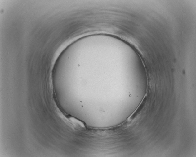 X0000075381516200609291538