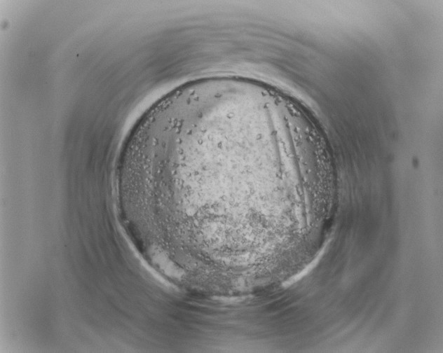 X0000075381517200609291538