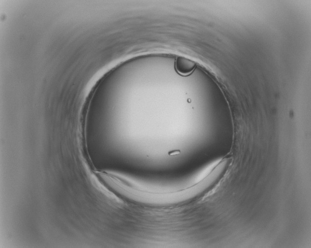 X0000075381518200609291538