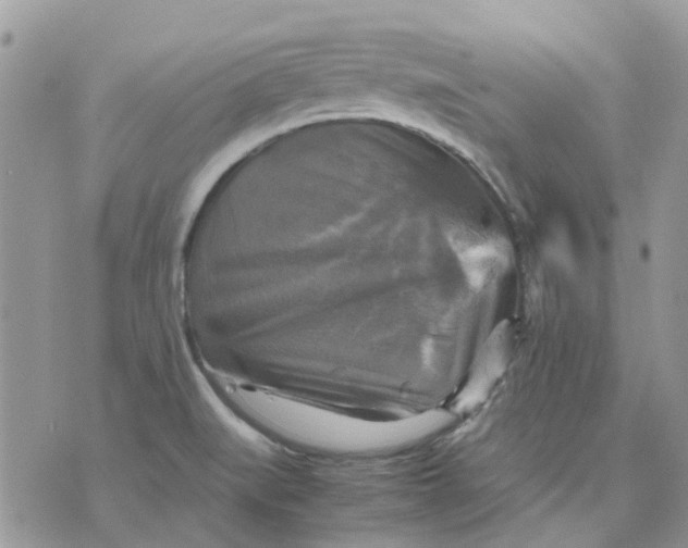 X0000075381519200609291538