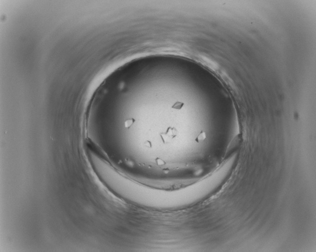 X0000075381520200609291538