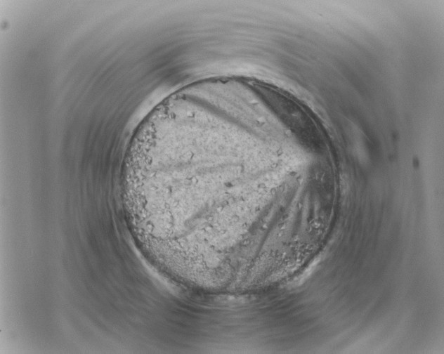 X0000075381521200609291538