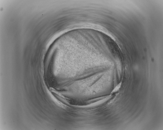 X0000075381523200609291538