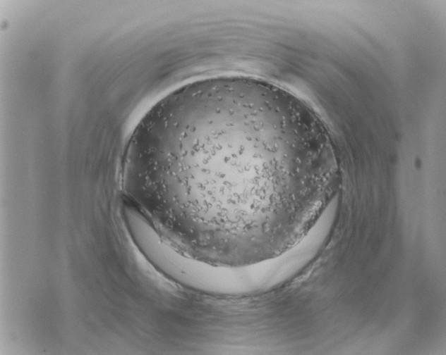 X0000075381524200609291538