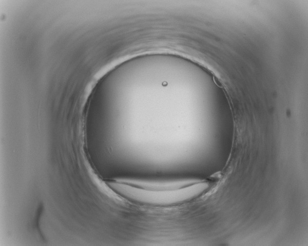 X0000075381526200609291538