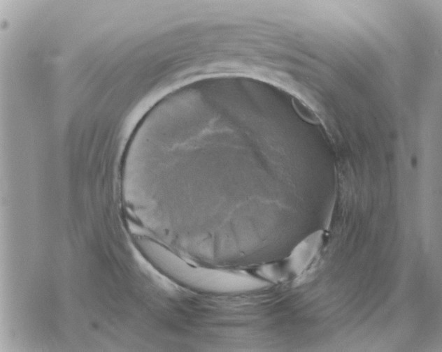 X0000075381527200609291538