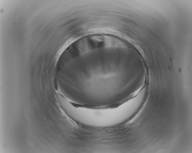 X0000075381529200609291538