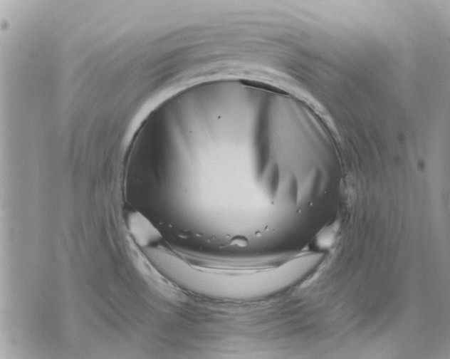 X0000075381530200609291538