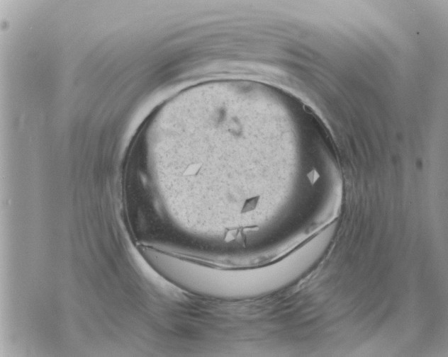 X0000075381531200609291538