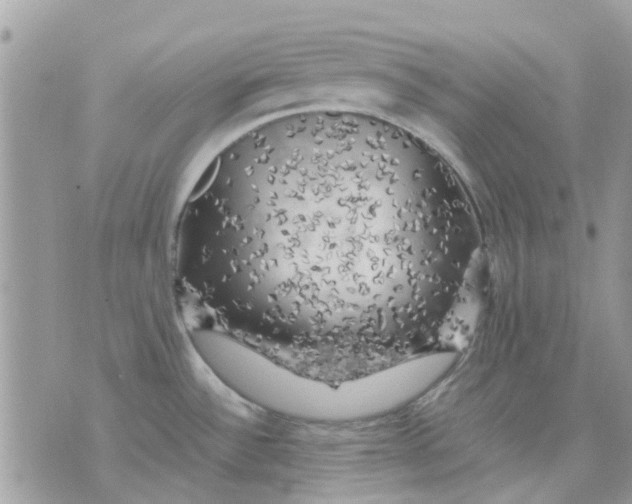 X0000075381532200609291538