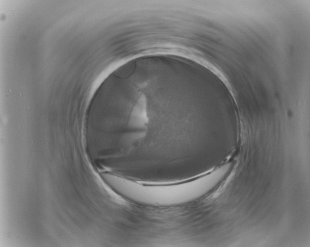 X0000075381533200609291538