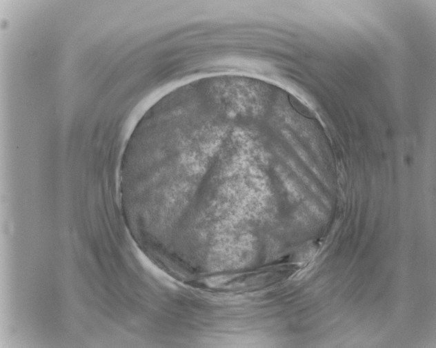 X0000075381535200609291538