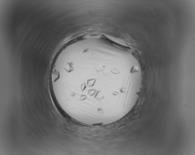 X0000075380003200610061851