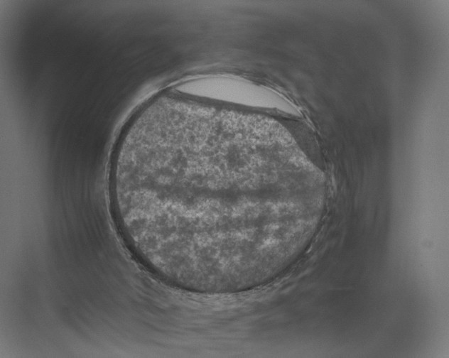 X0000075380006200610061851