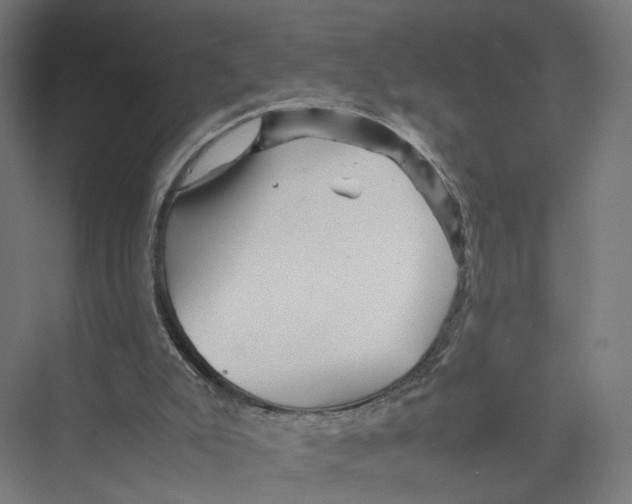 X0000075380007200610061851