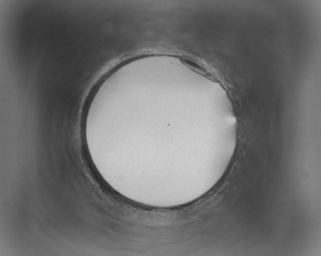 X0000075380008200610061851