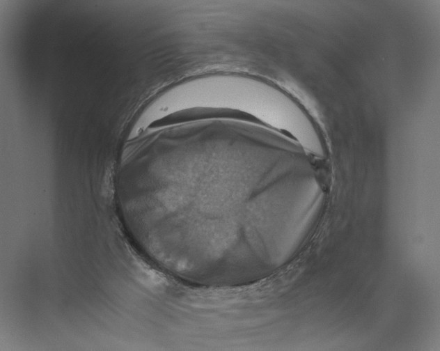 X0000075380009200610061851