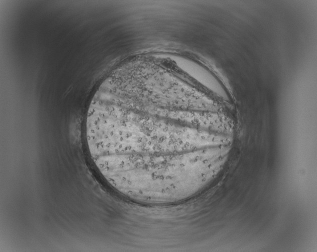 X0000075380010200610061851