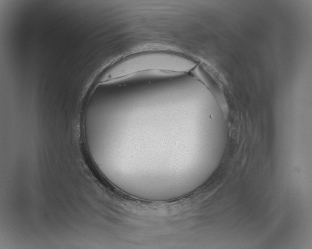 X0000075380015200610061850