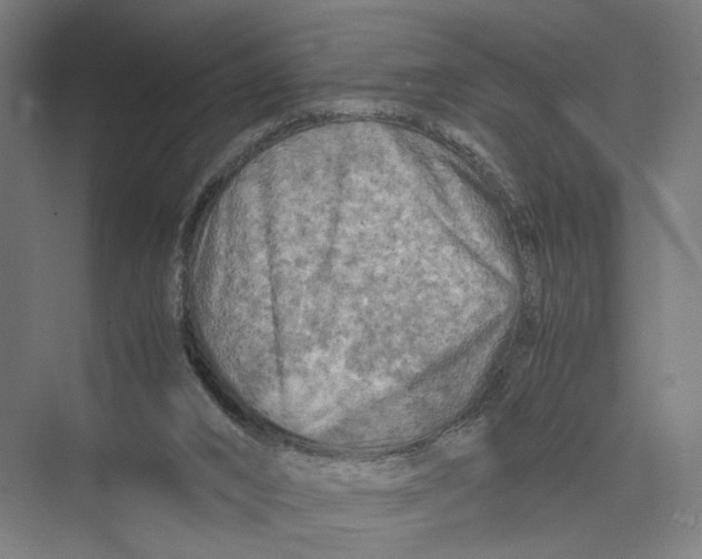 X0000075380016200610061850